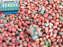 花生米發(fā)霉了還能吃嗎？花生米發(fā)霉了怎么辦？