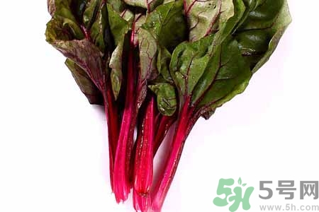 甜菜是蘿卜嗎？甜菜和蘿卜的區(qū)別