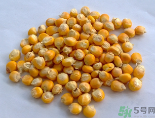 玉米用什么泡釣魚(yú)好？玉米怎么泡好釣魚(yú)？