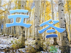 立冬可以栽樹嗎？立冬栽樹樹會死嗎？
