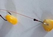 玉米粒怎么釣魚？怎么用玉米粒釣魚？