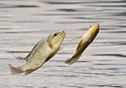 十月份怎么釣魚？十月份釣魚好釣嗎？
