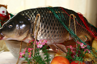 鯉魚死了還能吃嗎？鯉魚死了多久不能吃？
