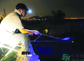 秋天可以夜釣嗎？秋天夜釣技巧