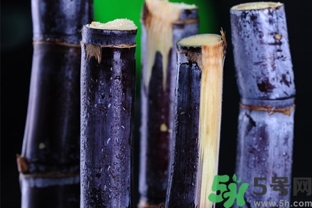 甘蔗一天吃多少最好？甘蔗能每天都吃嗎？