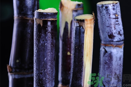 老人一天吃多少甘蔗最好？老人一天吃多少甘蔗合適？