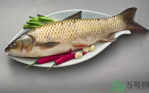 秋天怎么釣草魚？秋天草魚好釣嗎？