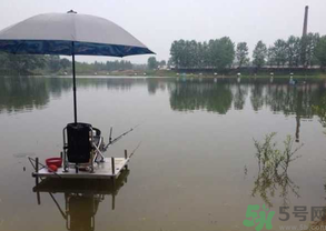 水庫釣魚用什么餌料？水庫釣魚用什么商品餌？