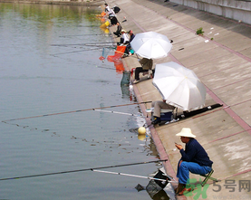 水庫釣魚用什么餌料？水庫釣魚用什么商品餌？
