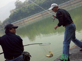 秋季釣黑魚用什么魚餌？秋天釣黑魚用什么餌？