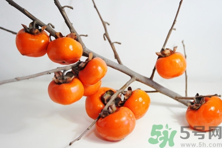 柿子和甘蔗能一起吃嗎？吃完柿子能馬上吃甘蔗嗎？