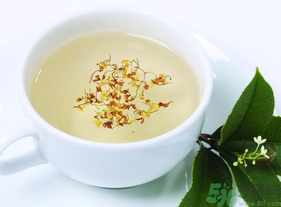 新鮮桂花能泡茶嗎？新鮮桂花怎么處理泡茶？