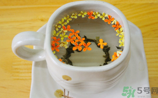 剛摘的桂花可以泡茶嗎？剛摘的桂花能泡茶嗎？
