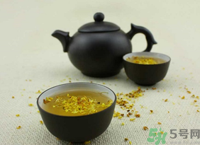 新鮮桂花可以泡水喝嗎？新鮮桂花泡水喝有什么好處？