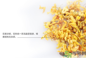 新鮮桂花可以泡水喝嗎？新鮮桂花泡水喝有什么好處？
