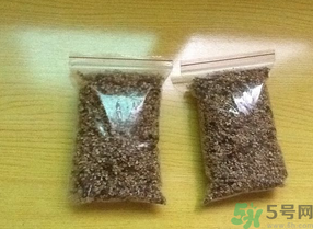 桂花怎么曬干？桂花曬好后可以做什么？