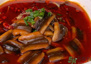 野生黃鱔有寄生蟲(chóng)嗎？野生黃鱔怎么去寄生蟲(chóng)？