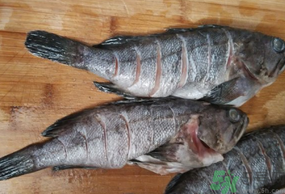 黑魚怎么洗掉身上的粘液？黑魚怎么洗才干凈？