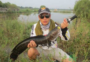 路亞釣黑魚用什么假餌？路亞釣黑魚用什么餌？