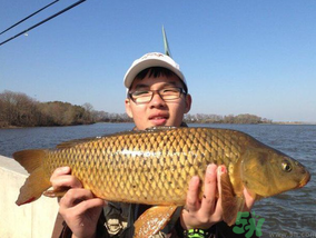 夜釣鯉魚用什么餌料？秋天夜釣鯉魚用什么餌料？