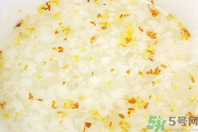 新鮮桂花可以煮粥嗎？桂花可以煮粥嗎？