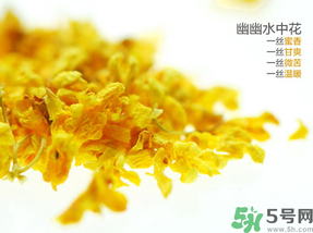 桂花可以泡水喝嗎？桂花怎么泡水？