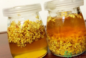 干桂花可以做桂花蜜嗎？干桂花怎么做桂花蜜？