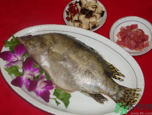 桂魚怎么保存？桂魚放冰箱怎么保存？