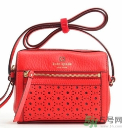 kate spade和coach哪個好？凱特絲蓓好還是蔻馳好？