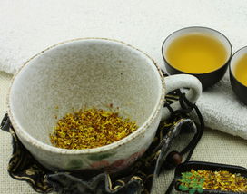 桂花茶怎么搭配效果好？桂花茶搭配什么好？