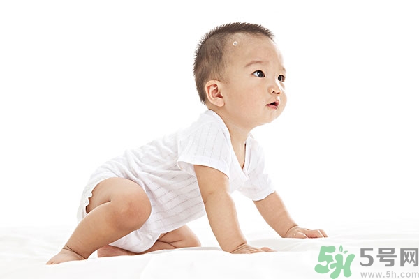 吃南瓜子可以打蟲嗎,南瓜子能打蛔蟲嗎？