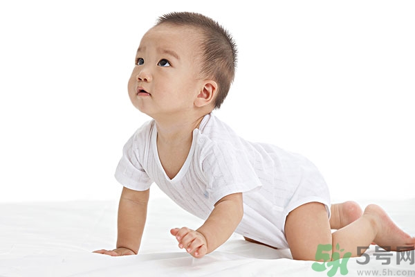 吃南瓜子可以打蟲嗎,南瓜子能打蛔蟲嗎？