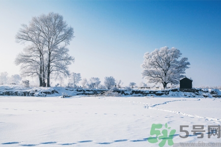 冬季養(yǎng)生吃什么最好？冬季養(yǎng)生吃三冬