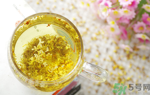 月經(jīng)期能喝桂花茶嗎？經(jīng)期能喝桂花茶嗎？