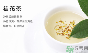 月經(jīng)期能喝桂花茶嗎？經(jīng)期能喝桂花茶嗎？