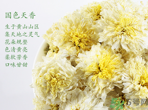 菊花茶可以放冰箱嗎？菊花茶能放冰箱冷凍嗎？