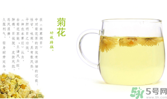 菊花茶可以放冰箱嗎？菊花茶能放冰箱冷凍嗎？