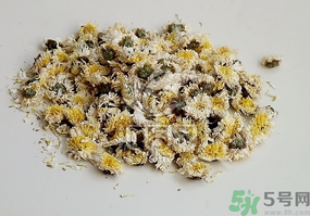 干菊花長(zhǎng)蟲(chóng)怎么辦？干菊花長(zhǎng)蟲(chóng)還能喝嗎？