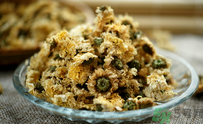 干菊花長(zhǎng)蟲(chóng)怎么辦？干菊花長(zhǎng)蟲(chóng)還能喝嗎？