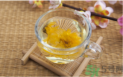 菊花茶可以天天喝嗎？菊花茶喝多了會(huì)怎么樣？