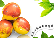 冬棗洗了可以放冰箱嗎？冬棗放冰箱好還是不放冰箱好？