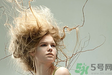 冬天用什么梳子比較好？頭發(fā)總愛靜電用什么梳子好？