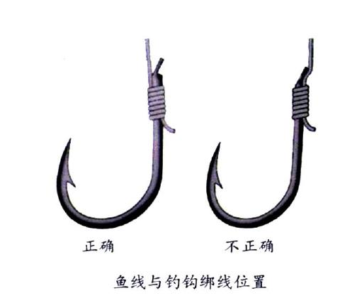 釣鯉魚用幾號(hào)鉤？釣鯉魚用什么鉤？