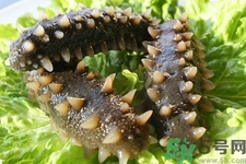 新鮮海參怎么吃最有營養(yǎng)？新鮮海參生吃最有營養(yǎng)嗎？