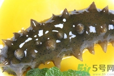新鮮海參怎么吃最有營養(yǎng)？新鮮海參生吃最有營養(yǎng)嗎？