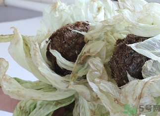 雪蓮花怎么吃？雪蓮花的功效作用