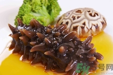 小孩能吃海參嗎？四種人不適合吃海參