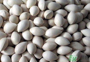 吃白果有什么好處和壞處？吃白果有什么作用？
