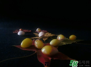 白果可以放微波爐嗎？白果放微波爐轉(zhuǎn)幾分鐘？