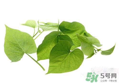 紅薯葉吃多了好嗎？紅薯葉吃多了會(huì)怎樣？